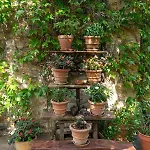Ruralia El Jardin Escondido De בקתה Helgueras