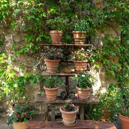 El Jardin Escondido De Chalet Helgueras