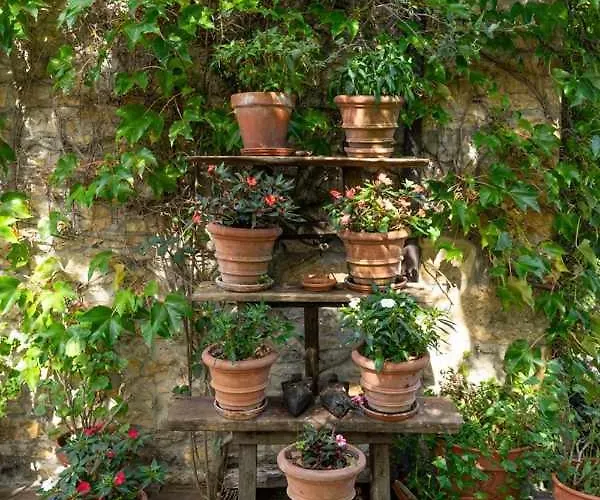 Ruralia El Jardín Escondido De Chalé Helgueras